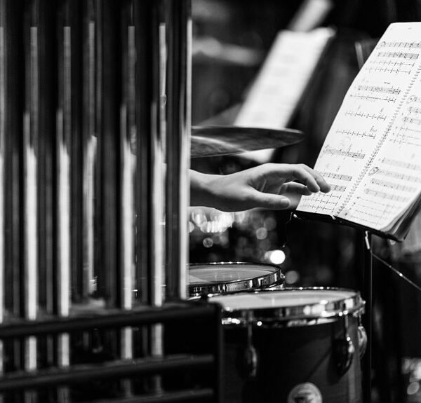 seo performance increase online