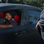 seo traffic authority network