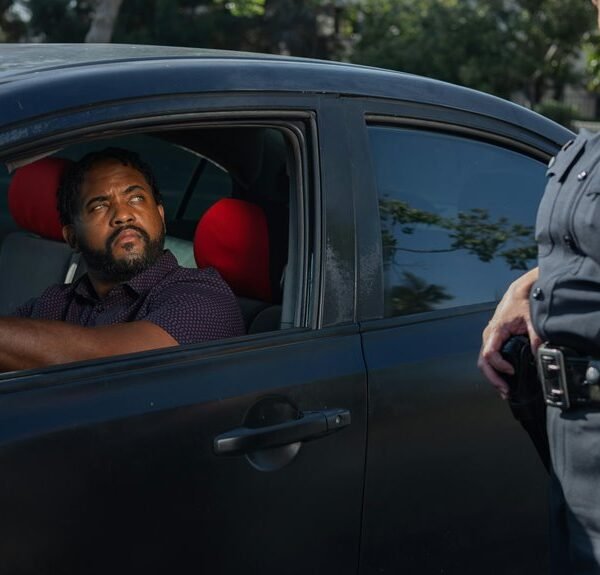 seo traffic authority network