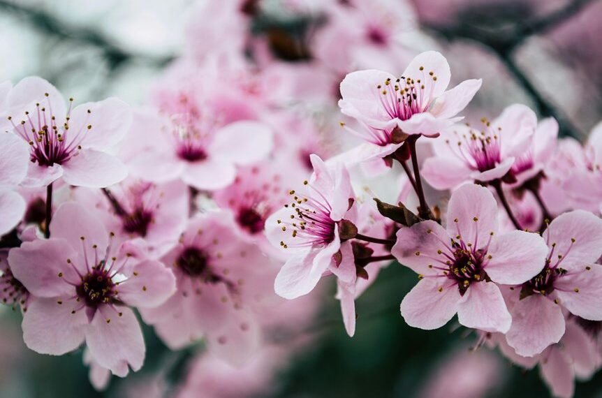 website seo growth strategy