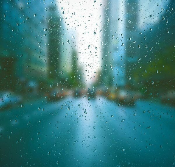 website seo traffic authority